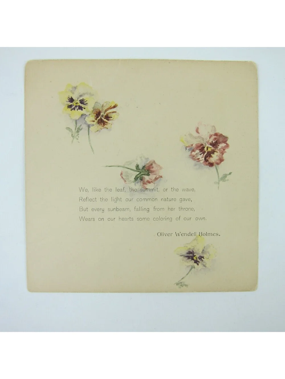 Antique Card Pansies Yellow Purple Pink Pansy Flowers Poem Oliver Wendell Holmes